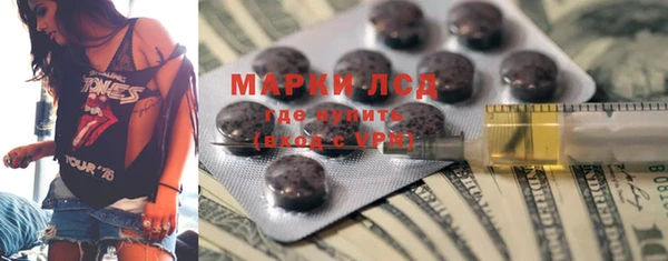 стаф Богданович