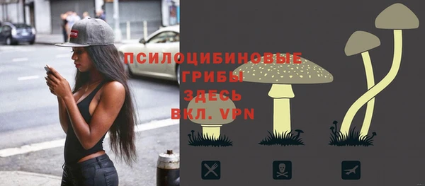 ALPHA PVP Богородск
