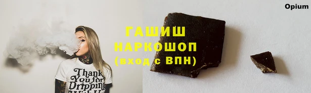 стаф Богданович