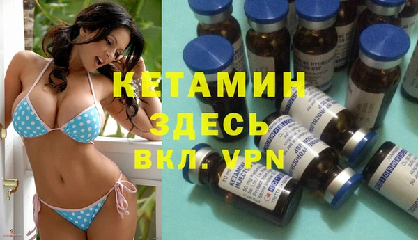 стаф Богданович