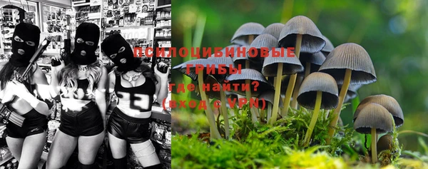ALPHA PVP Богородск