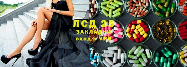 стаф Богданович