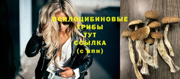 ALPHA PVP Богородск