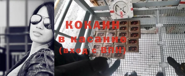 стаф Богданович