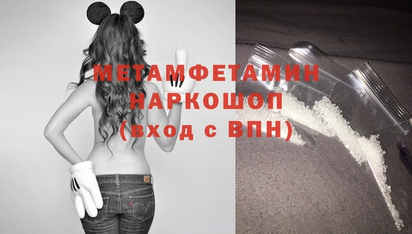 стаф Богданович