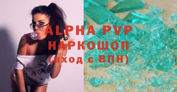 стаф Богданович