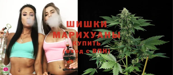 стаф Богданович