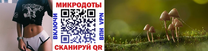 Галлюциногенные грибы GOLDEN TEACHER  закладка  Нахабино 